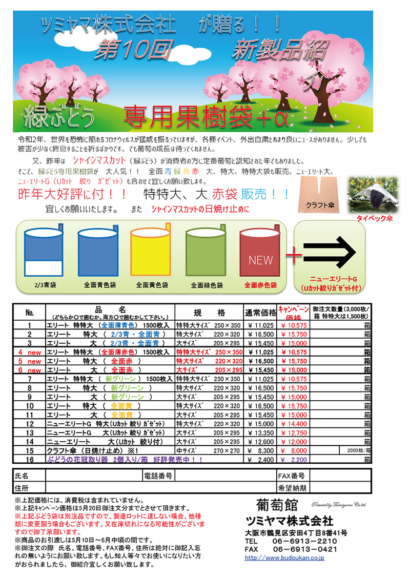 注目 緑ぶどう 専用袋 大袋 新グリーン 100枚入 エリート大 205×295 約500gぶどう用